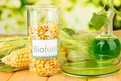 Modest Corner biofuel availability